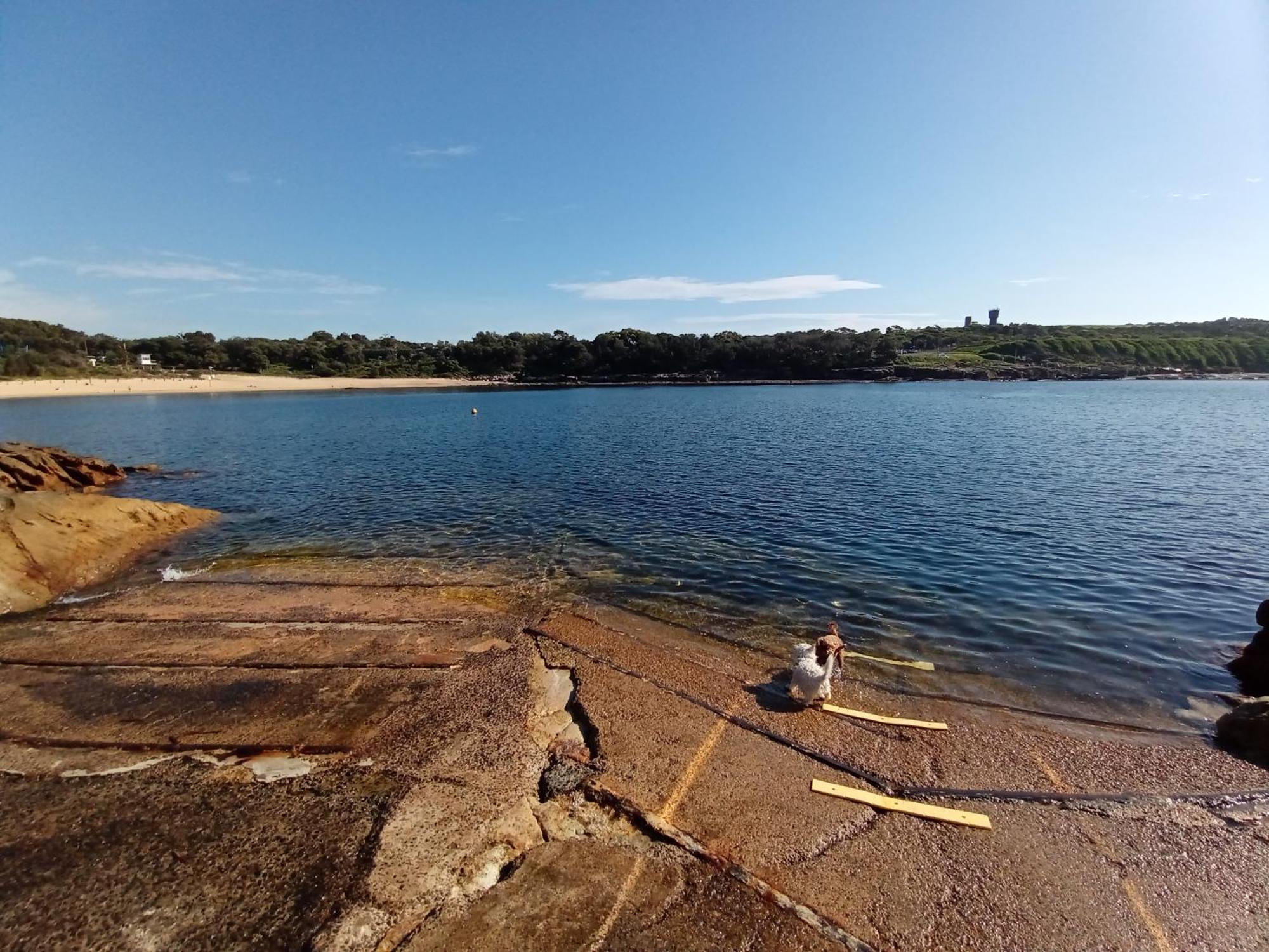 Brand New Vip Luxury 5/5 Star Beachside Escape Sydney Eksteriør bilde